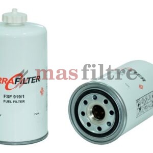FSF919/1